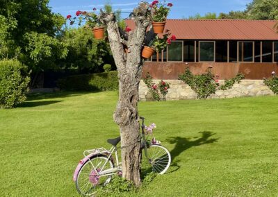 Finca El Venero - Navaluenga - Ávila