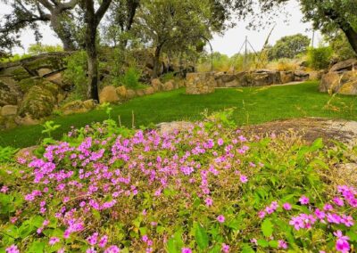 Finca El Venero - Navaluenga - Ávila