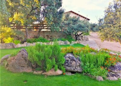 Finca El Venero - Navaluenga - Ávila