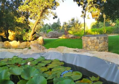 Finca El Venero - Navaluenga - Ávila