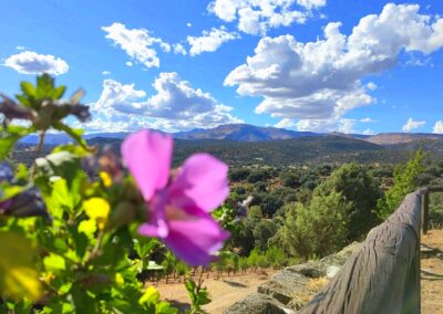 Finca El Venero - Navaluenga - Ávila