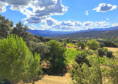 Finca El Venero - Navaluenga - Ávila